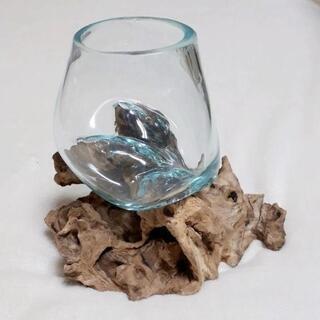 流木ガラス　オブジェ　ガーデニング　 テラリウム アクアリウム　アート