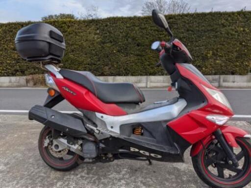 ＰＧＯ125