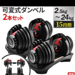 懸垂器具とダンベル、ベンチ台
