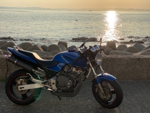 ホーネット250