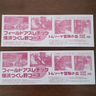 無料‼︎招待券 横浜つくし野アスレチック  チケット 2枚 セット