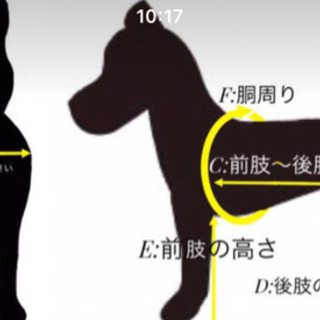 犬用車椅子 たんたん 横浜のその他の中古あげます 譲ります ジモティーで不用品の処分 犬用車椅子 たんたん 横浜のその他の中古あげます 譲ります ジモティーで不用品の処分