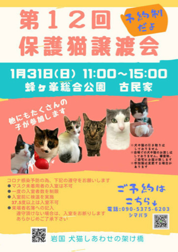 第１２回保護猫譲渡会in蜂が峯総合公園 Hiromi 和木の展示会のイベント参加者募集 無料掲載の掲示板 ジモティー
