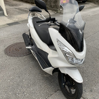 PCXjf56