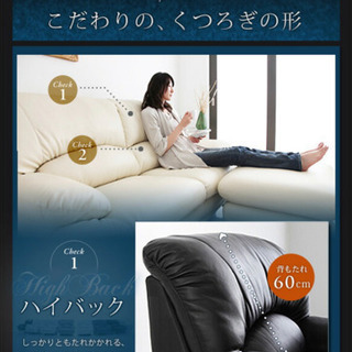 2人掛けよりも広い2.5人掛け！ お値引き