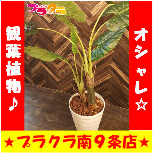 Y0276カード可 観葉植物インテリア家具造花大型送料aプラクラ南９条店 プラクラ南9条店 札幌 のインテリア雑貨 小物 置物 オブジェ の中古あげます 譲ります ジモティーで不用品の処分