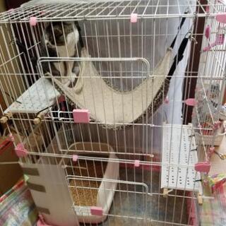 【値下げ】キャットゲージ(写真の現状、ゲージのみ)