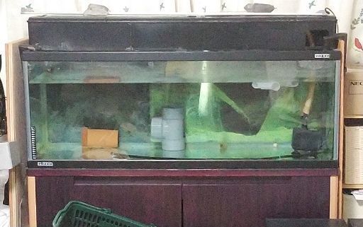 120cm水槽、台、濾過装置。