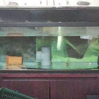 120cm水槽、台、濾過装置。
