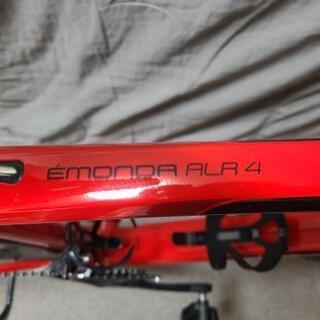 2019TREK ENONDA ALR4