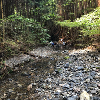 山奥の山荘です。