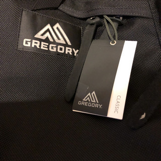 1119 展示品グレゴリー バックパック マイティーデイ 30L クラシック