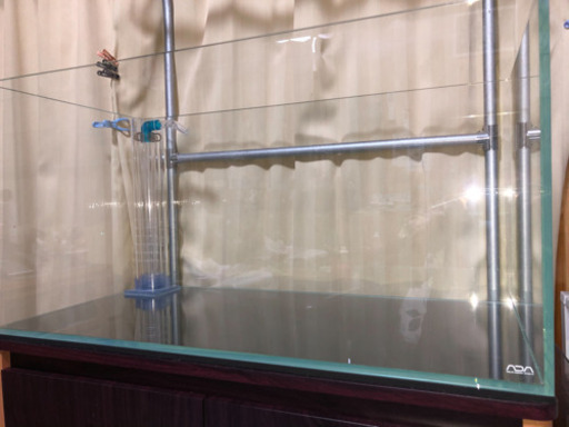 海水魚水槽