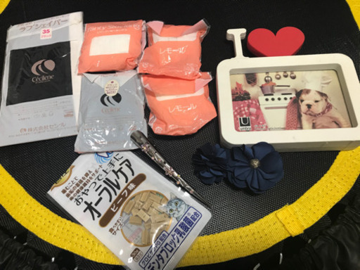 ⭐︎】ストッキング写真立て髪飾り猫のおやつ (カヲル) 赤塚の小物