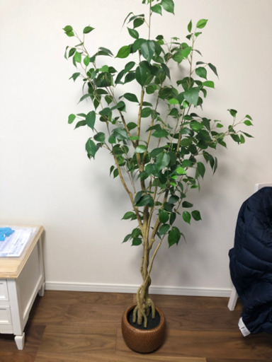 ニトリ新品フェイクグリーン造花 Sakusin 赤羽の家具の中古あげます 譲ります ジモティーで不用品の処分 ニトリ新品フェイクグリーン造花 Sakusin 赤羽の家具の中古あげます 譲ります ジモティーで不用品の処分