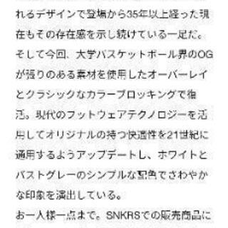 NIKE ダンクHI Vast Gray 28.5cm