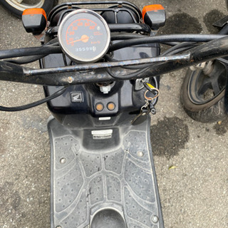 HONDA ズーマー 実動 福岡市南区 黒色 原付スクーター