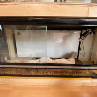 ニッソー 爬虫類 120cmケージ