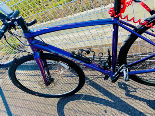 TREK Émonda ALR5 Disc 直接取引限定