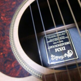 マーチンDXM (他社ハードケース付)