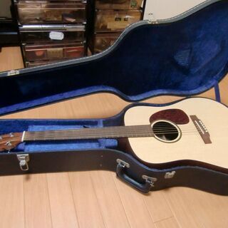 マーチンDXM (他社ハードケース付)