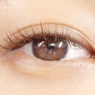 なんばマツエク 持ち良く ナチュラル ボリューム 似合わせデザイン シシュ 難波のその他の無料広告 無料掲載の掲示板 ジモティー