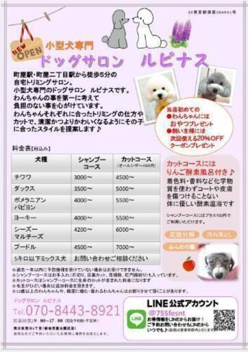 荒川区 小型犬専門ドッグサロン ルピナス ドッグサロンルピナス 町屋二丁目のペットサービスの無料広告 無料掲載の掲示板 ジモティー