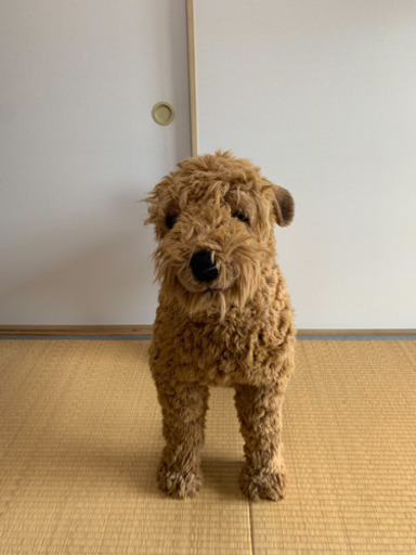 ほぼ実物大　犬のぬいぐるみ