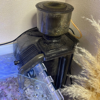 海水水槽セット