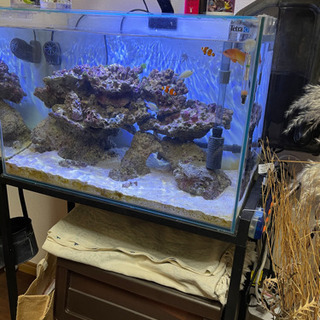 海水水槽セット