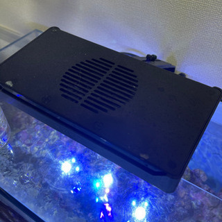 海水水槽セット