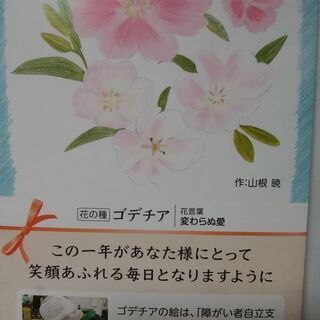 ゴデチア  花の種