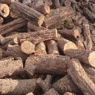 自分で薪を作る広葉樹セット価格