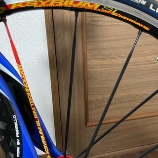 2008年購入ピナレロFP5（フルカーボン）