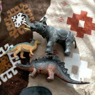 恐竜 象 セット