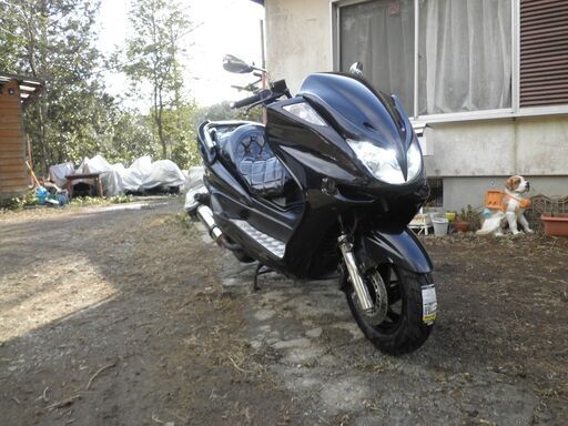 ヤマハマジェスティ２５０c 直ぐ乗れます整備済み。 ヤマハマジェスティ250c 直ぐ乗れます整備済み。