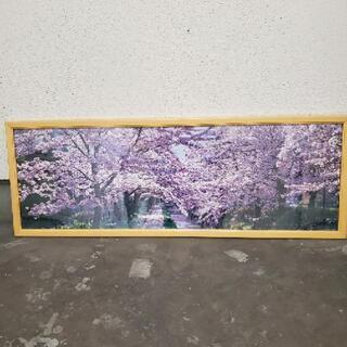 桜ジグソーパズル
