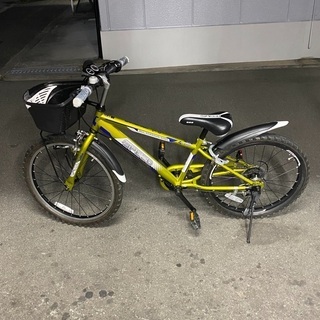取引中》琉球畳 12枚6畳 中古 5年