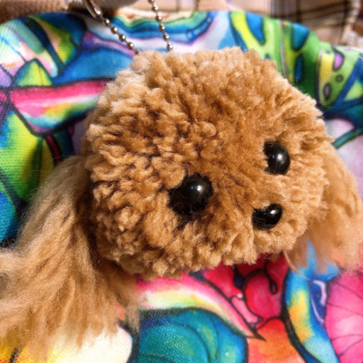 動物ぽんぽんトイプードルレッドハンドメイド ゅぅ 中頭のおもちゃの中古あげます 譲ります ジモティーで不用品の処分 動物ぽんぽんトイプードルレッドハンドメイド ゅぅ 中頭のおもちゃの中古あげます 譲ります ジモティーで不用品の処分