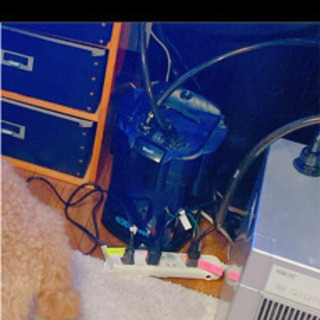 60cm水槽セット　バラ売り可　スキマー　ポンプ　外部フィルター