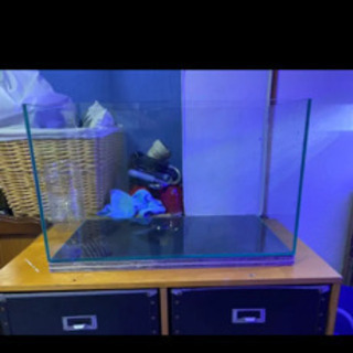 60cm水槽セット　バラ売り可　スキマー　ポンプ　外部フィルター