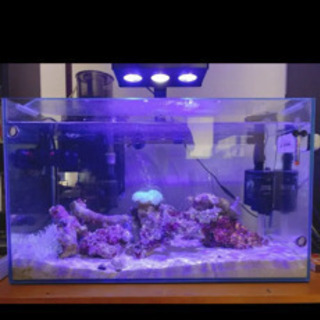 60cm水槽セット　バラ売り可　スキマー　ポンプ　外部フィルター