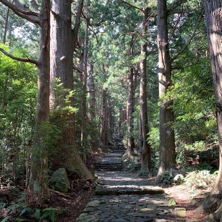 世界遺産の熊野古道を元登山部のガイドと歩いてみませんか？