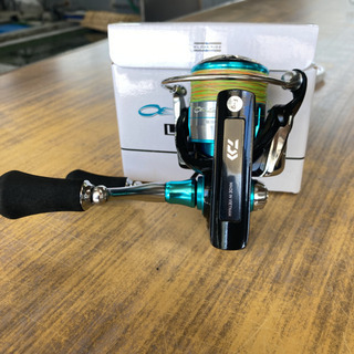 ダイワエメラルド　その他