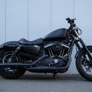 【ほぼ新品】ハーレー IRON883 2019年式 3000km