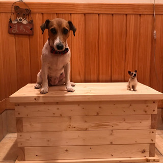 ベンチ収納BOX 昇平様