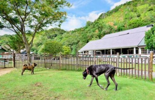 ドッグランとドッグカフェ バン 湯浅の犬の無料広告 無料掲載の掲示板 ジモティー