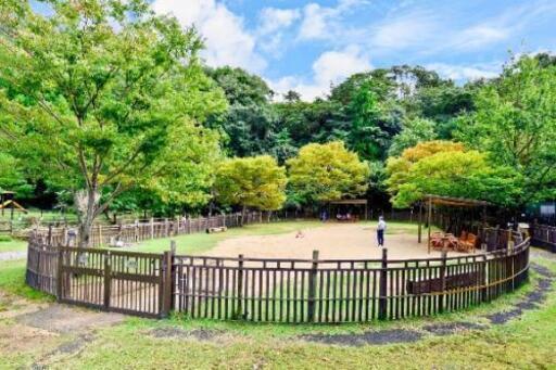 ドッグランとドッグカフェ バン 湯浅の犬の無料広告 無料掲載の掲示板 ジモティー