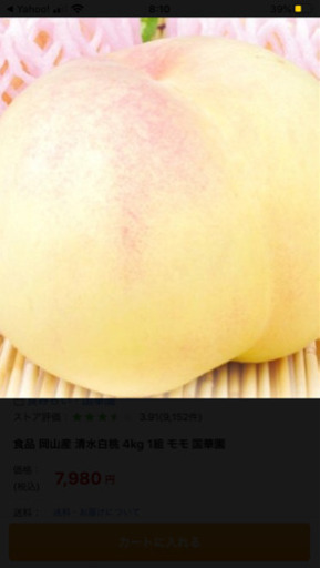 果樹苗 桃苗 清水白桃 大苗 | www.gulatilaw.com