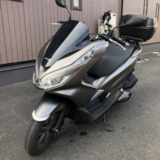 人気のpcx125初年度登録令和1年（jf81）